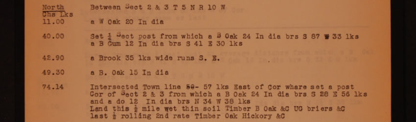 Transcribed Field Notes